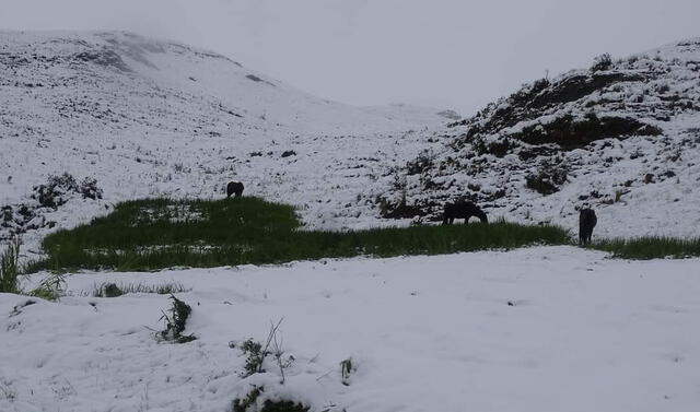 Nevada en Cusco: alerta roja en las 13 provincias por precipitaciones de nieve y lluvias
